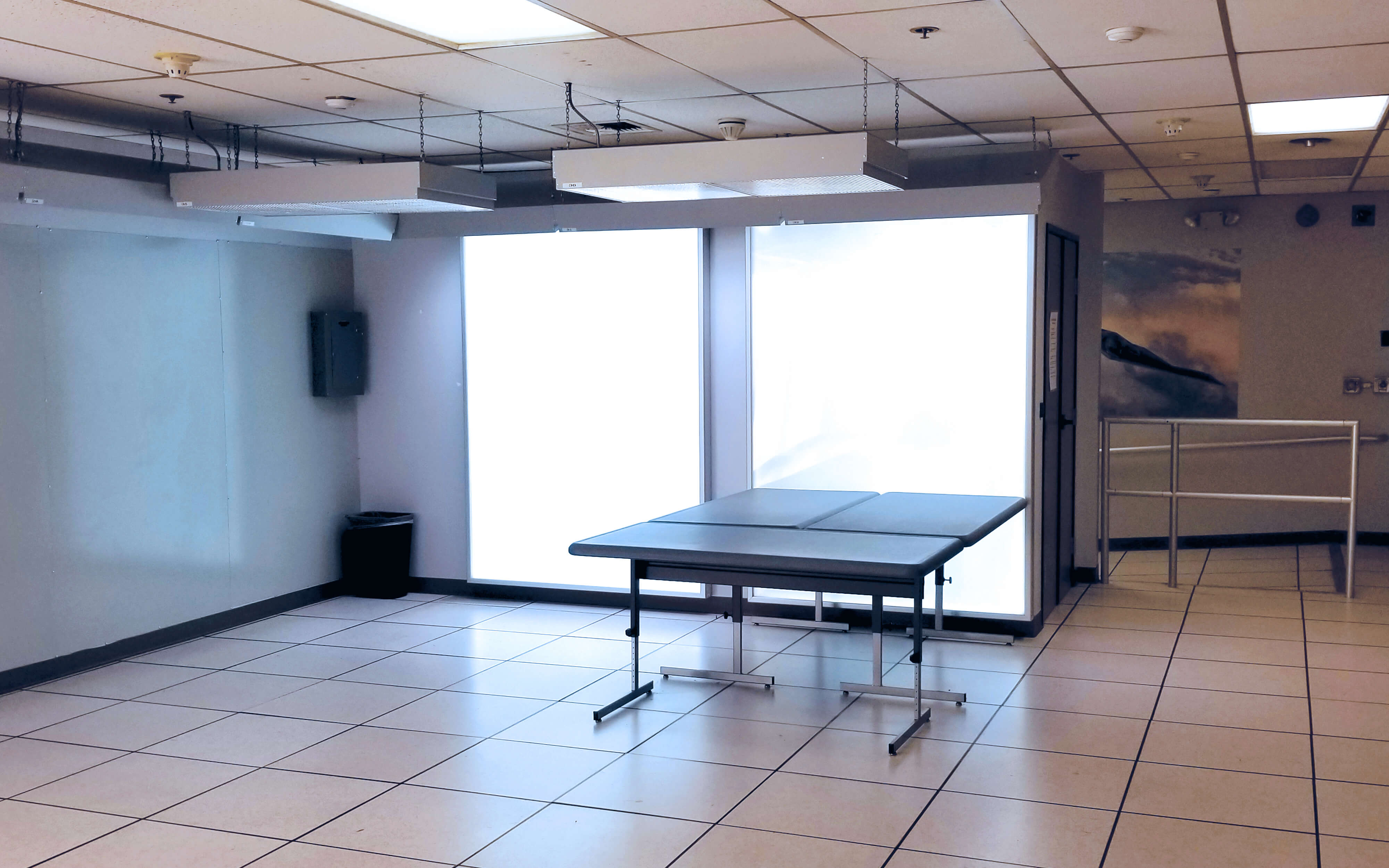 Lithographix printing production security image